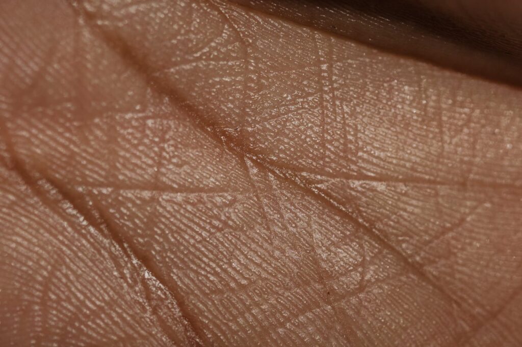 pexels-photo-7479542-7479542.jpg